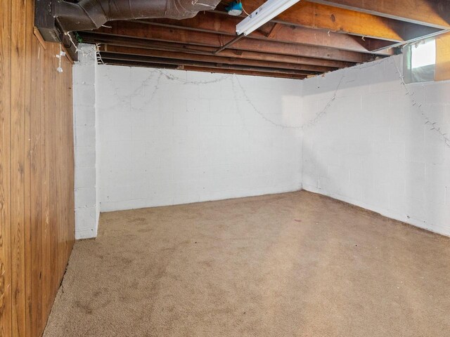 4348 N 30th St, Milwaukee, WI 53216 - below grade area featuring carpet floors