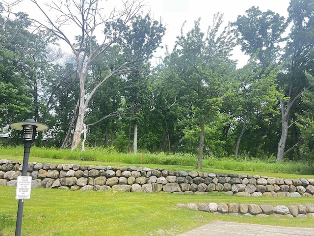 200 Femrite Dr Unit 211, Monona, WI 53716 - view of grassy yard