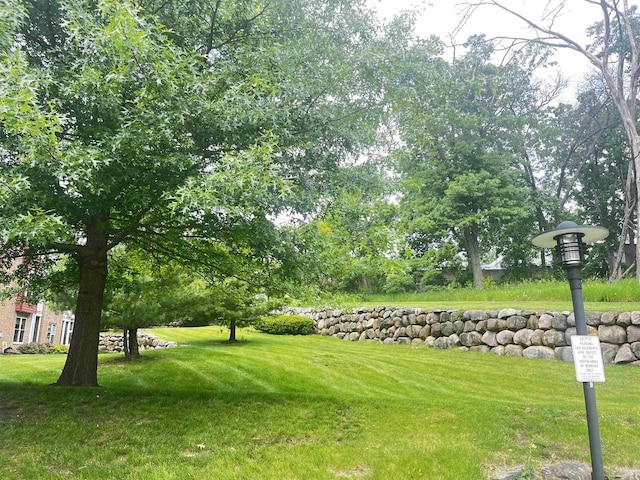 200 Femrite Dr Unit 211, Monona, WI 53716 - view of green lawn