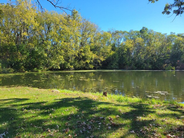 8100 160th Ave, Bristol, WI 53104 - property view of water featuring a forest view