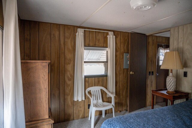 N7363 Wahneeta Ave, New Lisbon, WI 53950 - unfurnished bedroom with carpet flooring and wooden walls