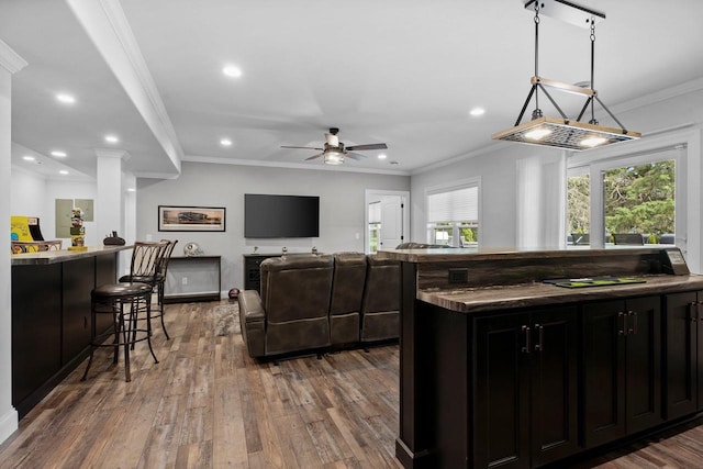 6612 Florance Ruth Ln, Sun Prairie, WI 53590 - kitchen with dark cabinetry, a kitchen bar, dark wood-style flooring, a ceiling fan, and recessed lighting