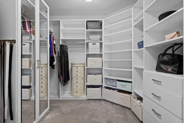 6612 Florance Ruth Ln, Sun Prairie, WI 53590 - walk in closet with carpet