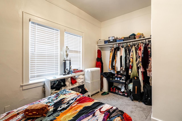 walk in closet featuring radiator heating unit and carpet