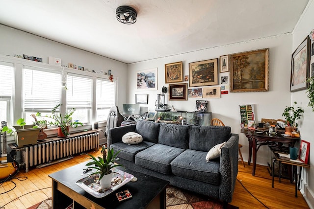 living room with hardwood / wood-style floors and radiator