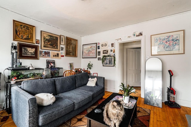 living area featuring hardwood / wood-style floors and baseboards