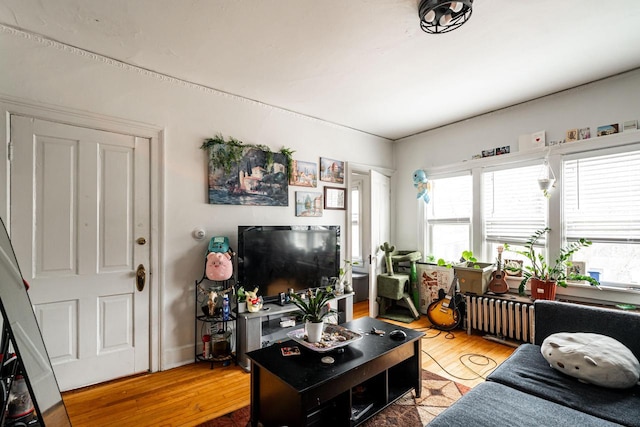 living area featuring wood finished floors and radiator