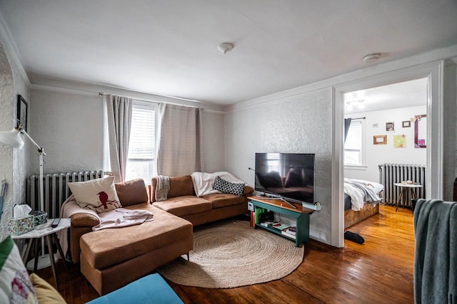 living area featuring a glass covered fireplace, a healthy amount of sunlight, wood finished floors, and radiator
