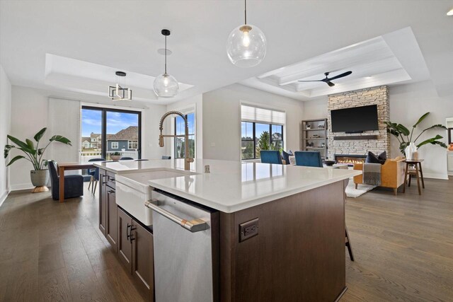 kitchen with a sink, stainless steel dishwasher, a raised ceiling, and dark wood-style flooring