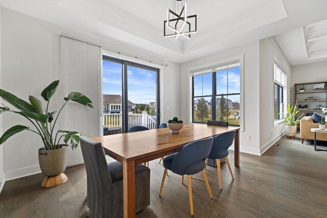 dining area featuring a tray ceiling, wood finished floors, an inviting chandelier, and baseboards