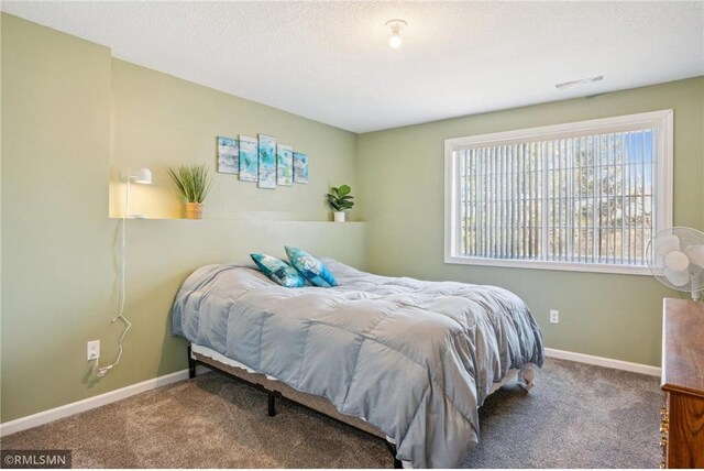 219 Bluff Dr, Somerset, WI 54025 - bedroom with carpet floors, baseboards, and a textured ceiling