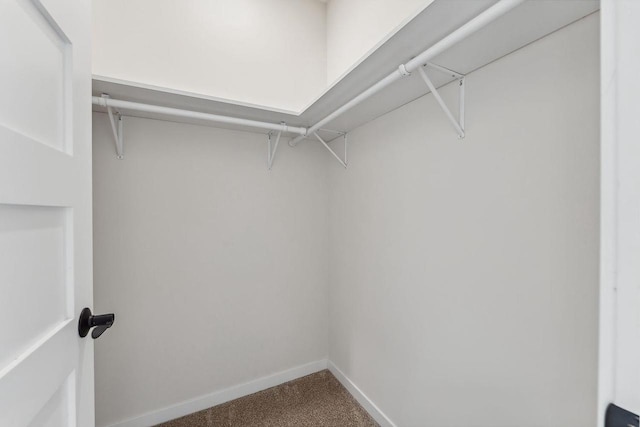 216 S Dewey Ave, Reedsburg, WI 53959 - walk in closet featuring carpet flooring