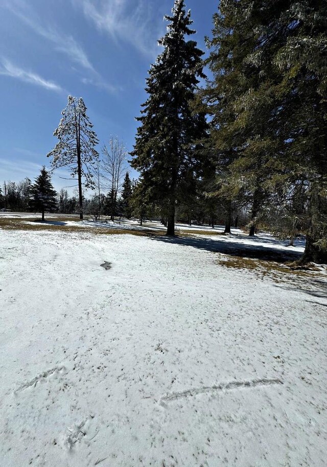 N8193 M35, Cedar River, MI 49887 - view of yard covered in snow