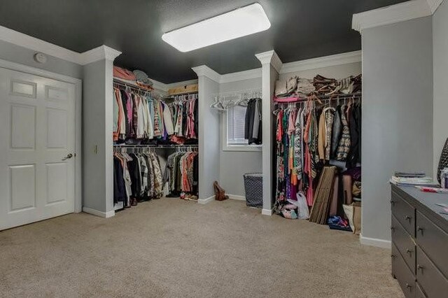 8283 345th St, Stanley, WI 54768 - spacious closet featuring carpet flooring