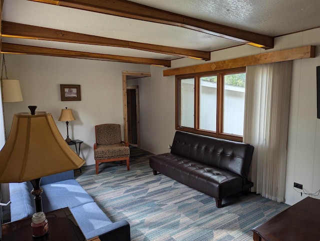 2123 French St, Friendship, WI 53934 - carpeted living area featuring a textured ceiling and beam ceiling