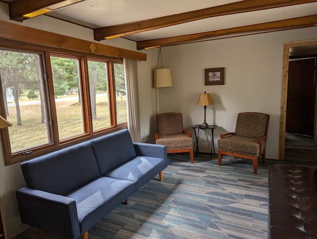 2123 French St, Friendship, WI 53934 - living area with beamed ceiling and dark colored carpet