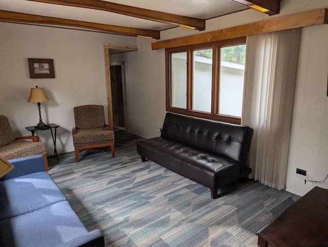 2123 French St, Friendship, WI 53934 - carpeted living area featuring beam ceiling
