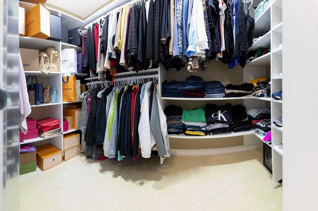 N4455 Dorothy Jane Ct, Kaukauna, WI 54130 - spacious closet featuring carpet flooring