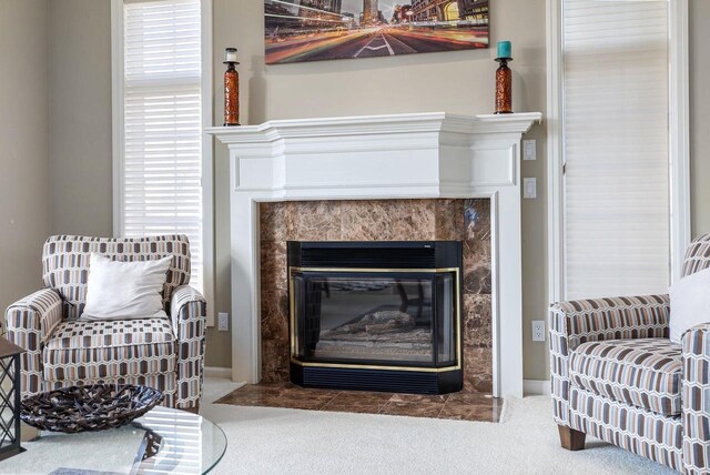 N4455 Dorothy Jane Ct, Kaukauna, WI 54130 - sitting room with a fireplace and carpet floors