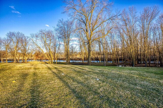 N4455 Dorothy Jane Ct, Kaukauna, WI 54130 - view of yard with a water view