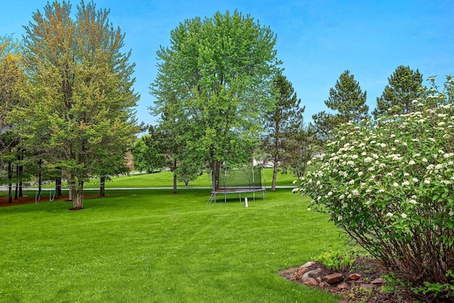 9842 Elan Rd, Tomah, WI 54660 - view of grassy yard featuring a trampoline