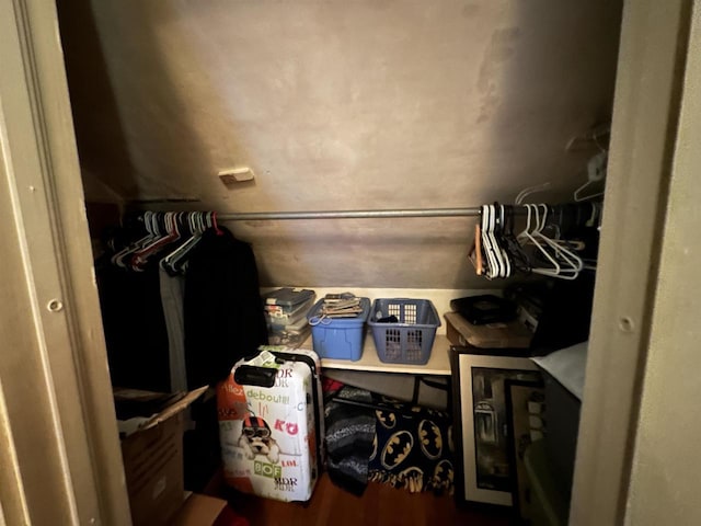view of walk in closet