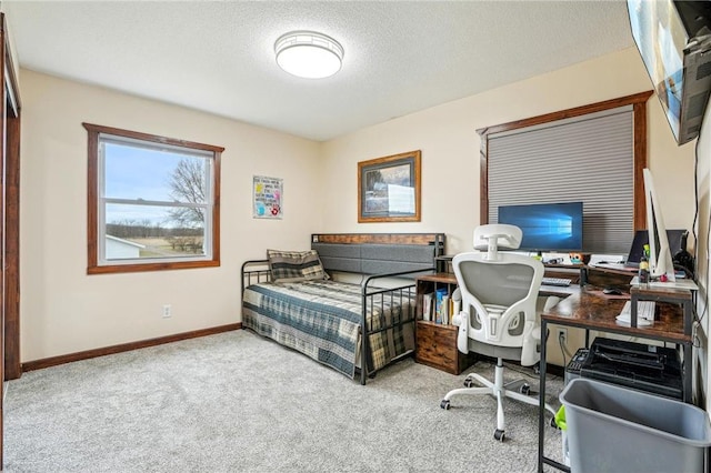 1794 W White Ash Dr, Balsam Lake, WI 54810 - carpeted home office featuring a textured ceiling and baseboards