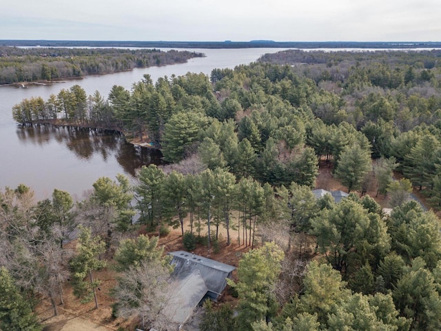 birds eye view of property with a wooded view and a water view