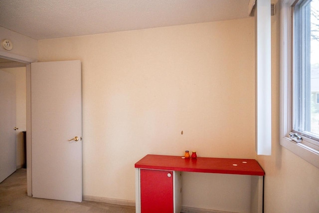 interior space with light colored carpet and a healthy amount of sunlight