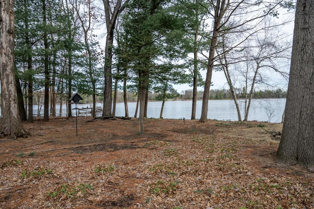 property view of water