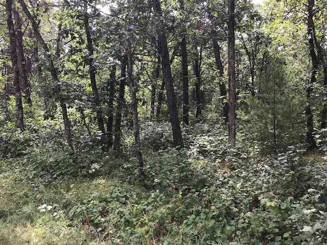 1678 Cree Ln, Arkdale, WI 54613