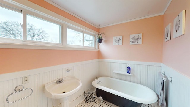 full bathroom featuring a freestanding bath, ornamental molding, a sink, and a wainscoted wall