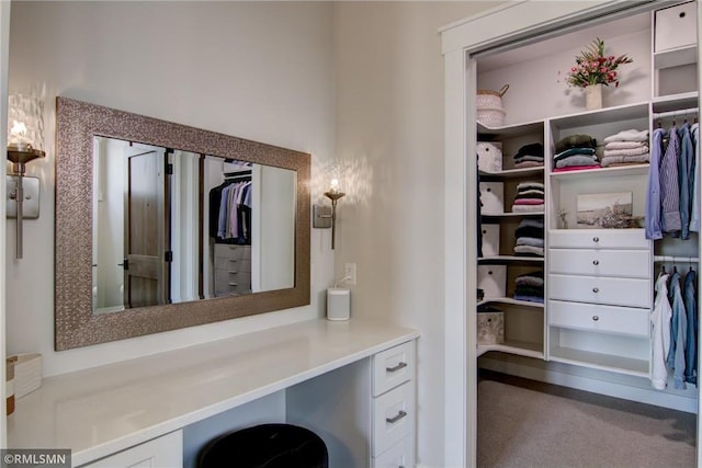 interior space with a walk in closet and vanity