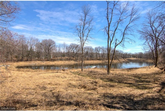 property view of water with a forest view