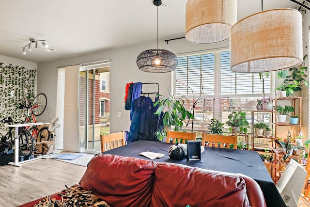 living room with wood finished floors