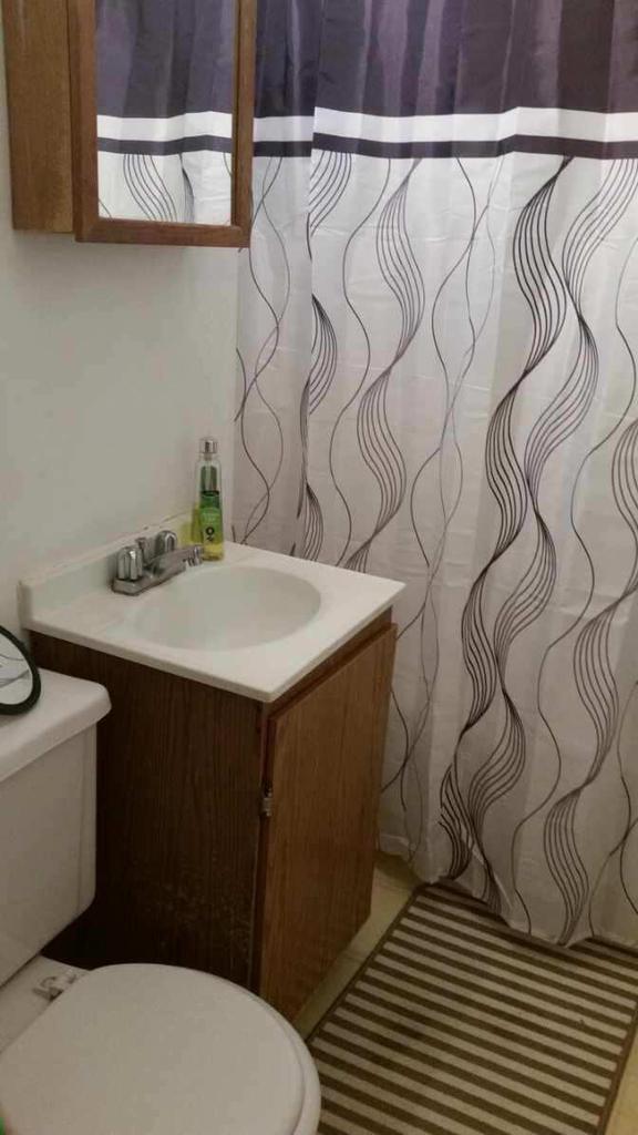 615 Congress St, Eau Claire, WI 54703 - bathroom featuring toilet and vanity