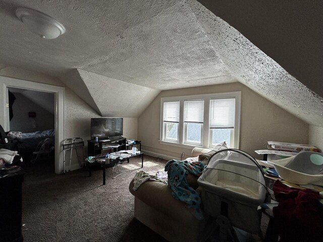 1842 Lasalle St, Racine, WI 53402 - additional living space featuring carpet flooring, a textured ceiling, and lofted ceiling