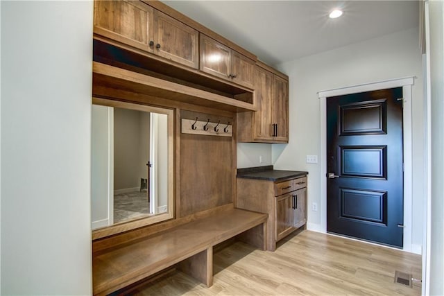 E5215 Queens Dr, Eleva, WI 54738 - mudroom with light wood-style floors and baseboards