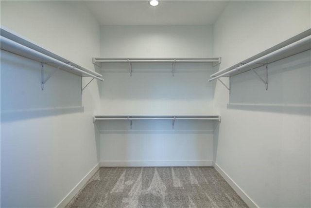 E5215 Queens Dr, Eleva, WI 54738 - spacious closet featuring carpet