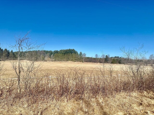 000 Polish Rd, Pittsville, WI 54466