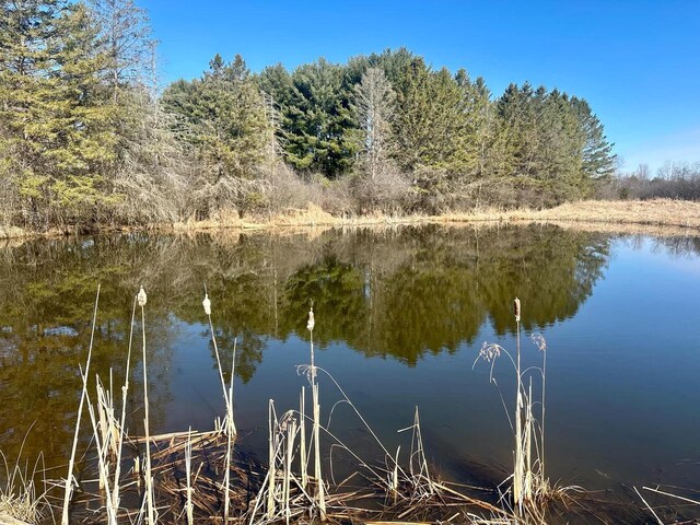 000 Polish Rd, Pittsville, WI 54466