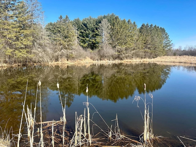 000 Polish Rd, Pittsville, WI 54466