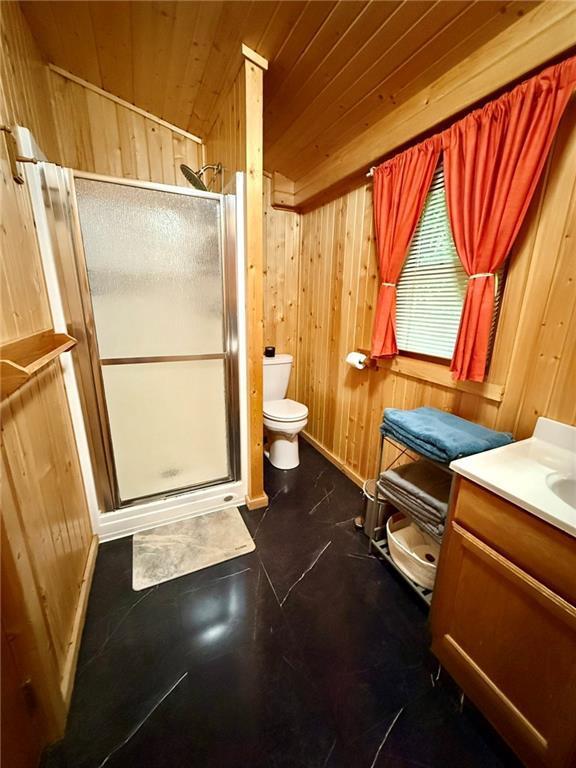 6039 Elsie Rd Unit 2, Stone Lake, WI 54876 - full bathroom featuring vanity, wood walls, a stall shower, and wood ceiling