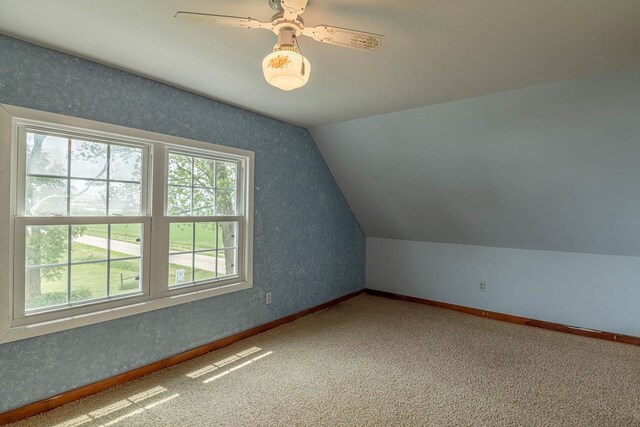 N1616 Haddinger Rd, Monroe, WI 53566 - bonus room featuring vaulted ceiling and carpet