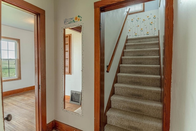 N1616 Haddinger Rd, Monroe, WI 53566 - staircase with healthy amount of natural light and wood finished floors