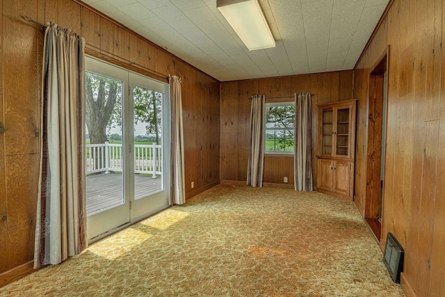 N1616 Haddinger Rd, Monroe, WI 53566 - empty room with wooden walls, carpet floors, and plenty of natural light