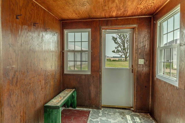N1616 Haddinger Rd, Monroe, WI 53566 - doorway to outside with plenty of natural light, wooden walls, and wooden ceiling