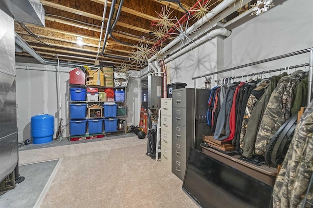 W7181 Duck Creek Ave, Westfield, WI 53964 - unfinished below grade area featuring carpet flooring and electric panel