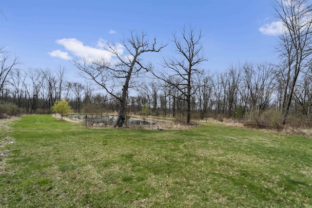 W7181 Duck Creek Ave, Westfield, WI 53964 - view of yard