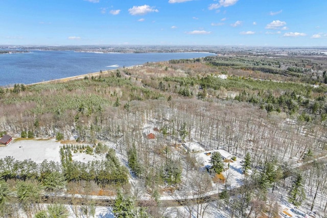3853 County Rd E, Junction City, WI 54443 - aerial view of property's location with a nearby body of water